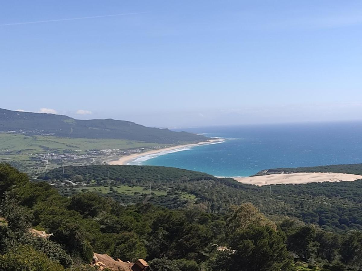 - M A N U E L A * Bolonia